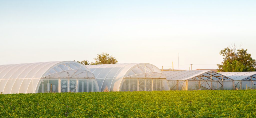 greenhouses in the field for seedlings of crops f utc